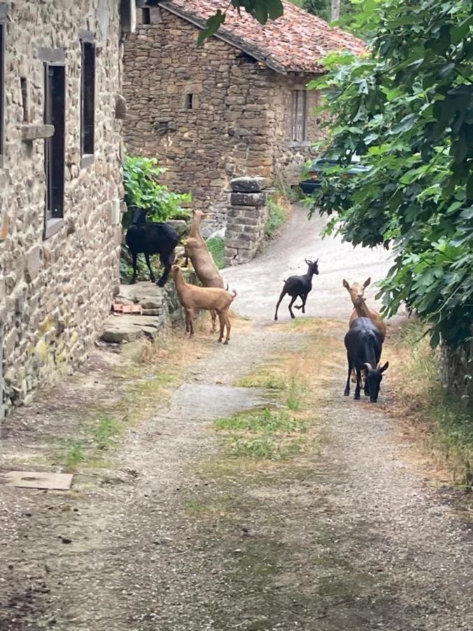 Apartamento Picos De Europa Cabezón de Liébana Kültér fotó